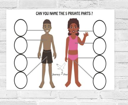 Educators Series: Blank Chart 1 of the 5 Private Parts