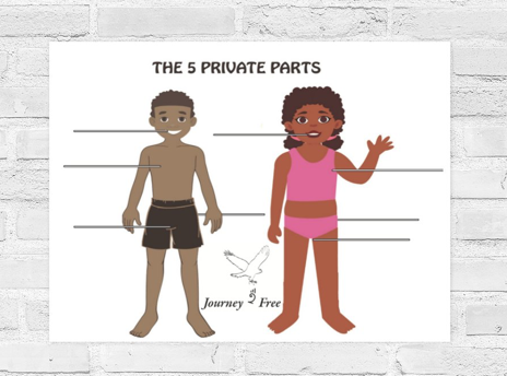 Educators Series: Blank Chart 2 of The 5 Private Parts